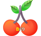  Brl9